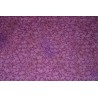 TISSU COTON 2 FRS / € LES 50 CM