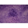 TISSU COTON 2 FRS / € LES 50 CM