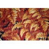 TISSU COTON 2 FRS / € LES 50 CM