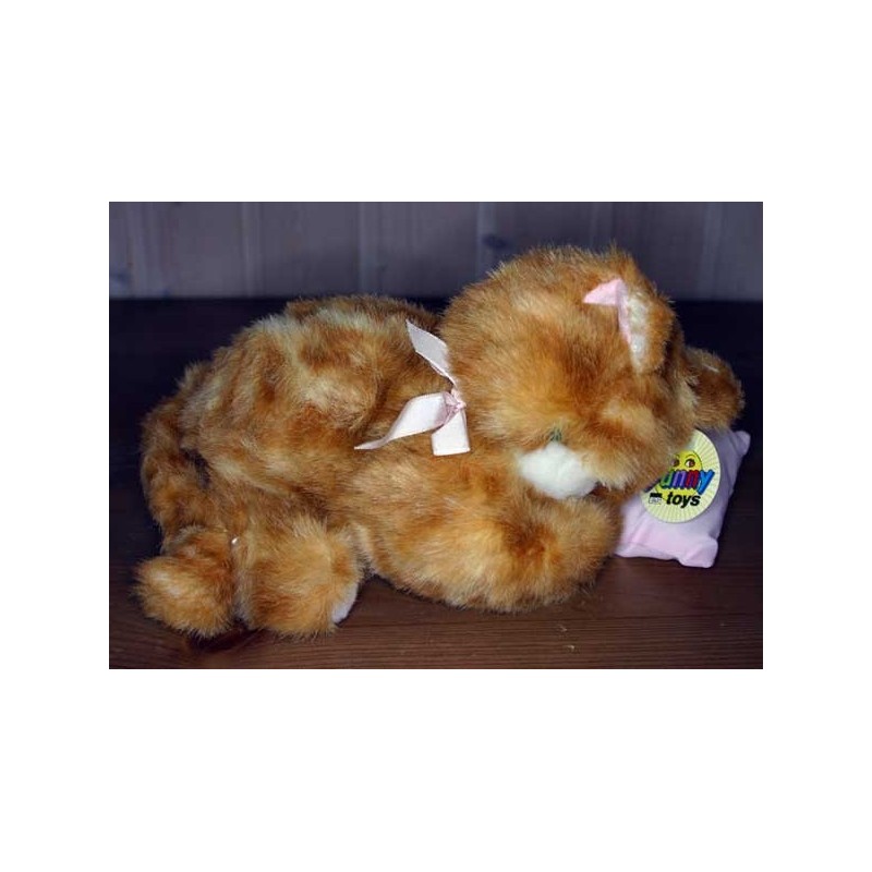 Petit Chaton et son coussin